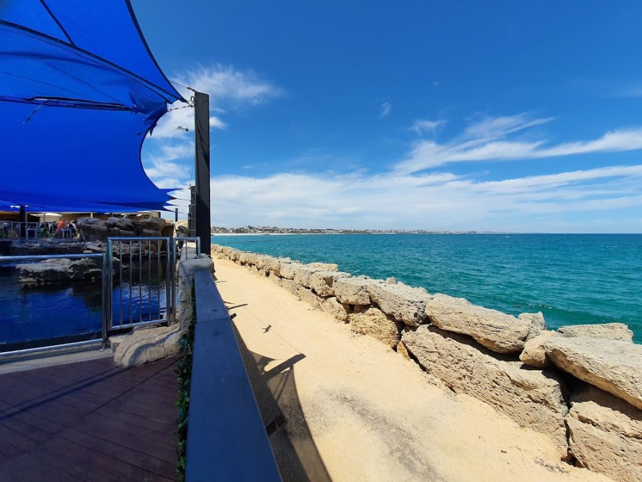 AQWA The Aquarium Of Western Australia - Foto 7