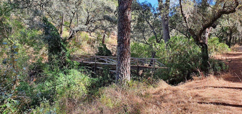 Parque Periurbano Los Villares 5