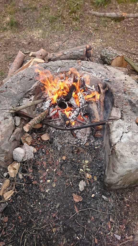 Parque Periurbano Los Villares - Foto 8