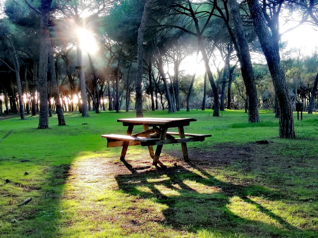 Parque Periurbano La Corchuela