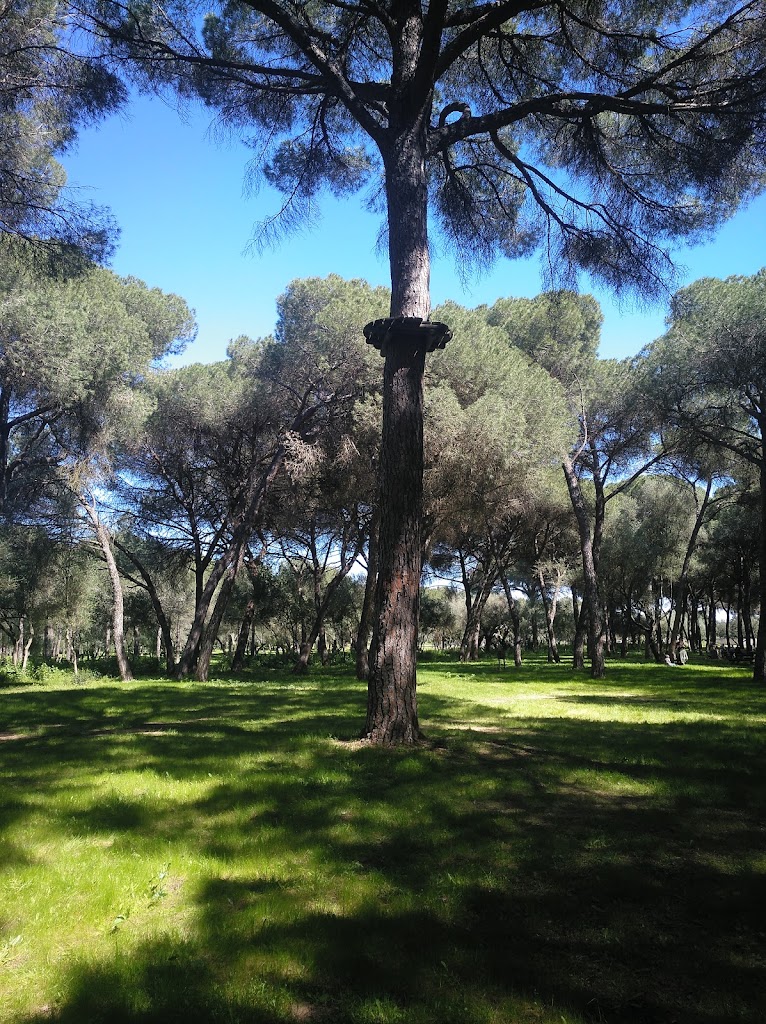 Parque Periurbano La Corchuela 2