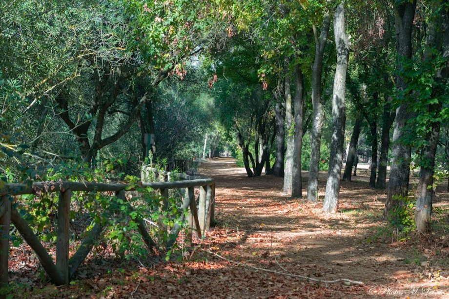 Parque Periurbano La Corchuela - Foto 3