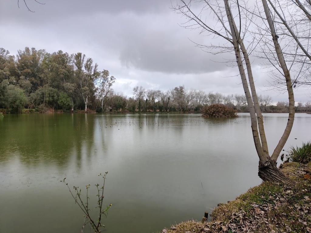 Parque Periurbano La Corchuela 4