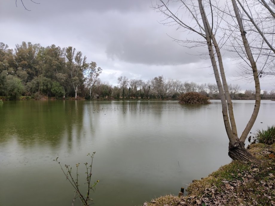 Parque Periurbano La Corchuela - Foto 4