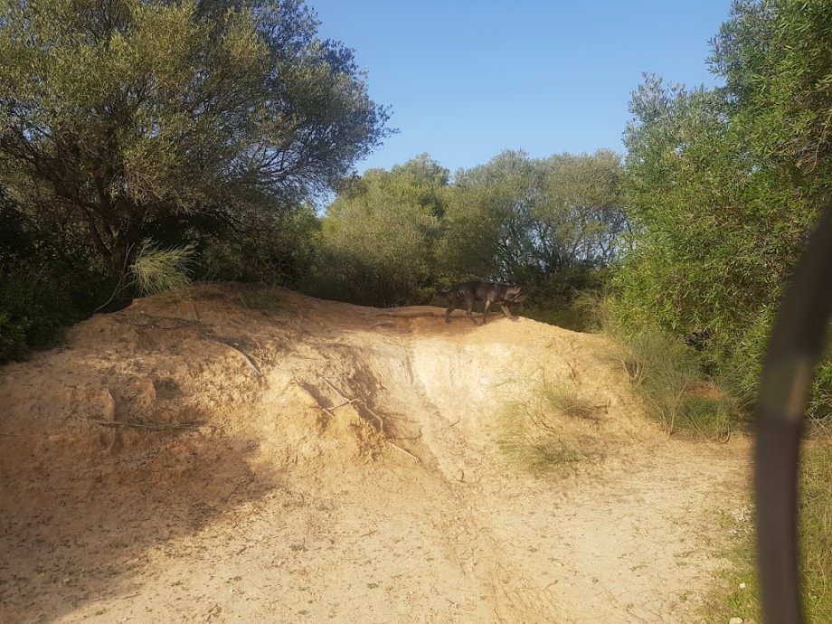 Parque Periurbano La Corchuela - Foto 5