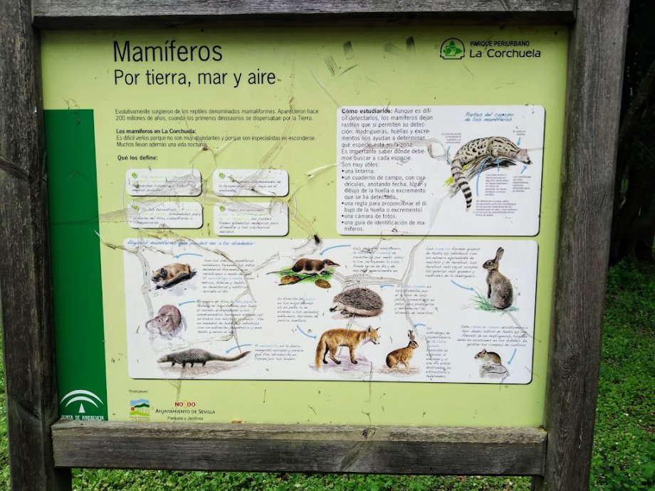 Parque Periurbano La Corchuela - Foto 8