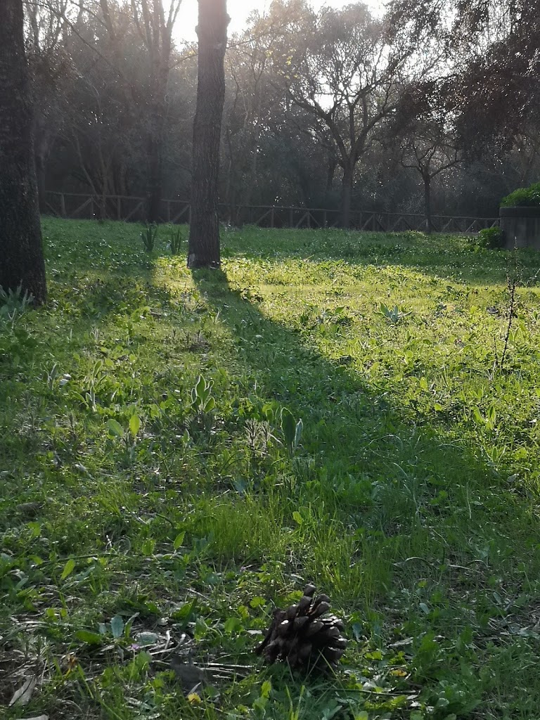 Parque Periurbano La Corchuela - Foto 10