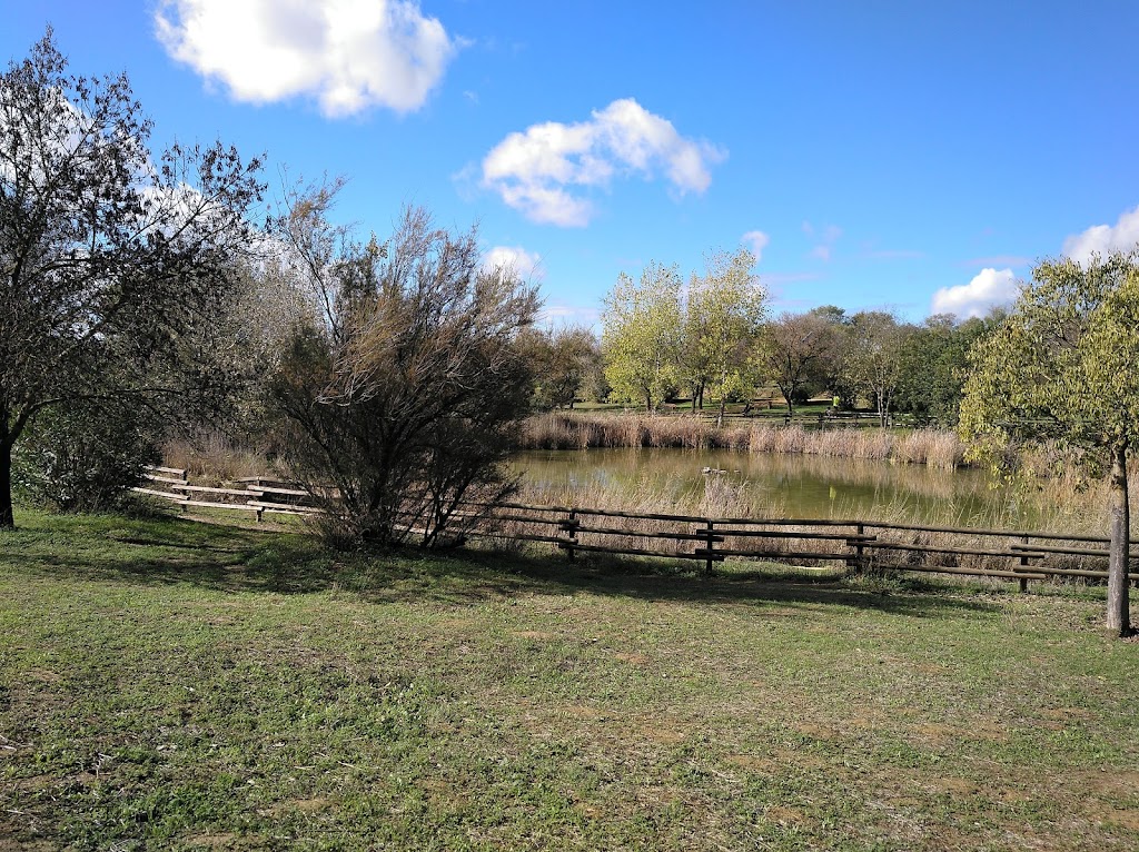 Parque Periurbano Porzuna 2