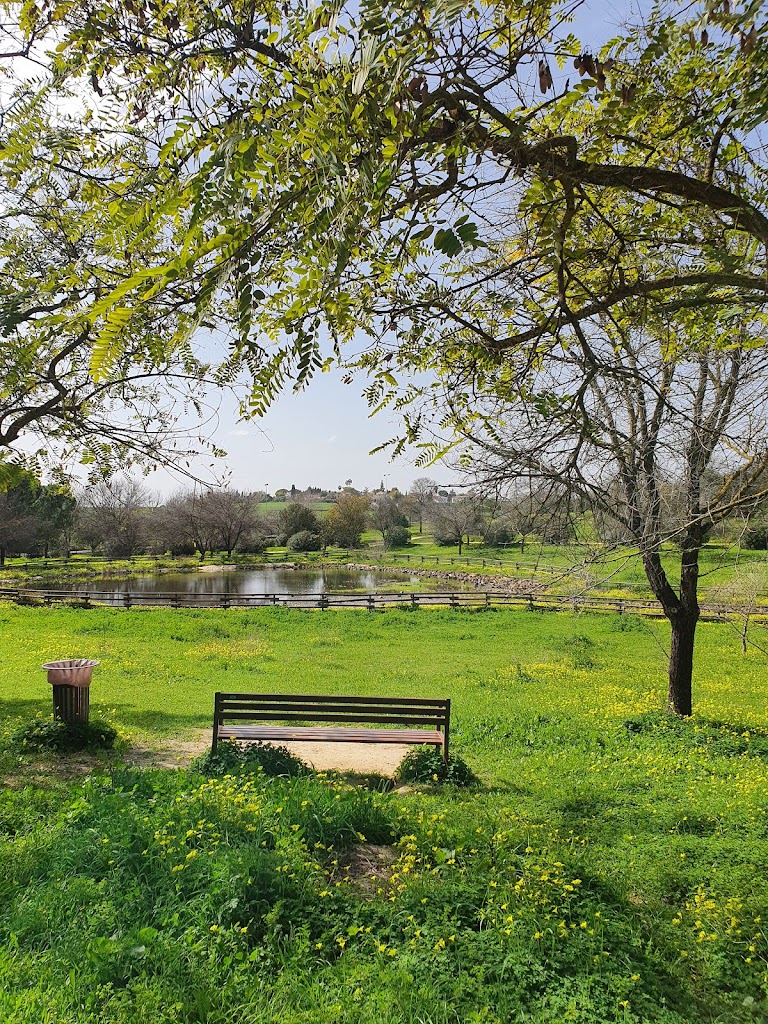 Parque Periurbano Porzuna - Foto 3