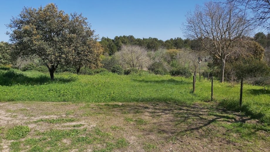 Parque Periurbano Porzuna - Foto 7