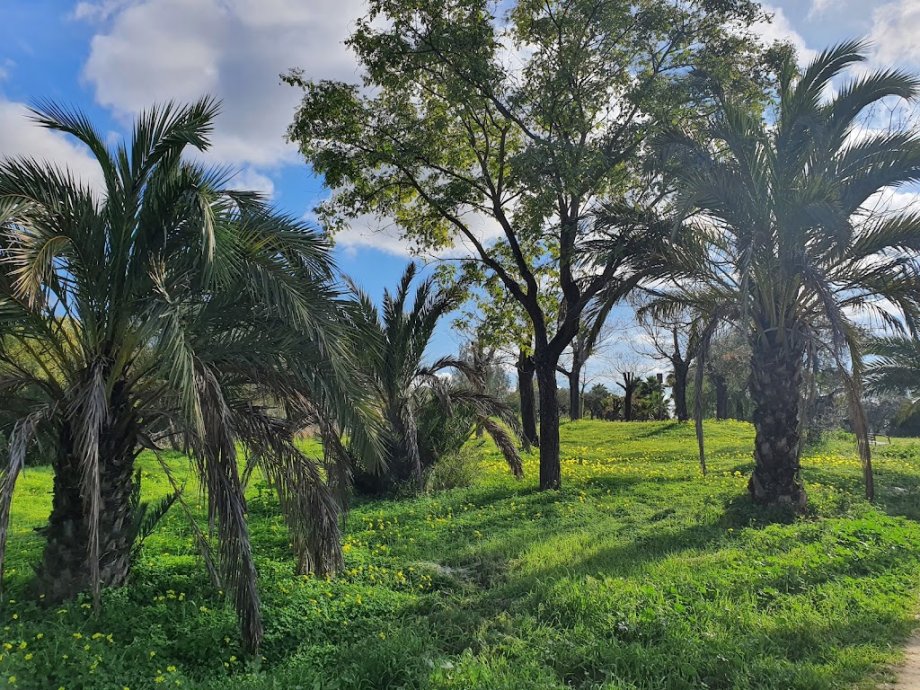 Parque Periurbano Porzuna - Foto 8