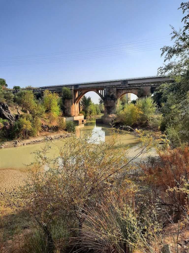 Parque Periurbano de Almodovar del Rio - Foto 6
