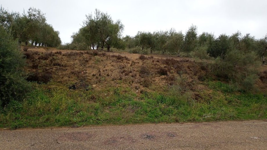 Parque Periurbano de Almodovar del Rio - Foto 7