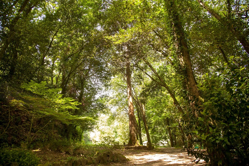 Restaurante Finca Aldea Grande - Foto 1