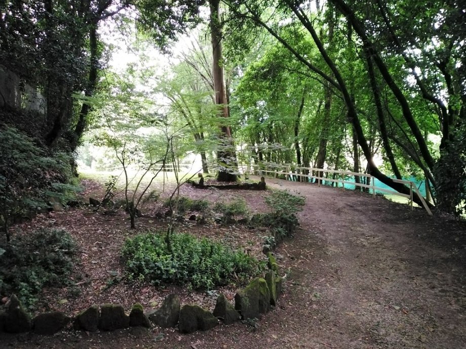 Restaurante Finca Aldea Grande - Foto 10