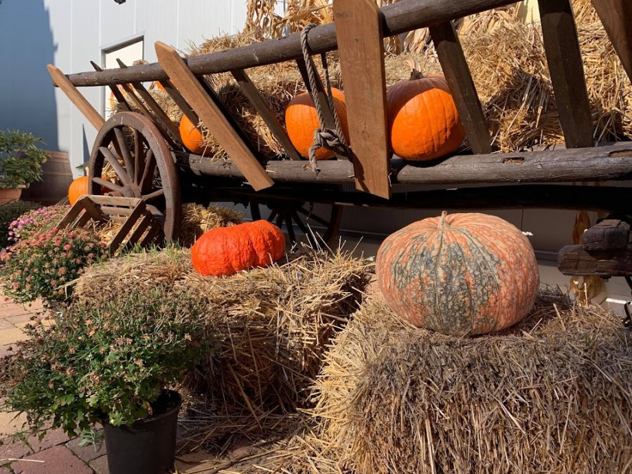 Funny World - Foto 7