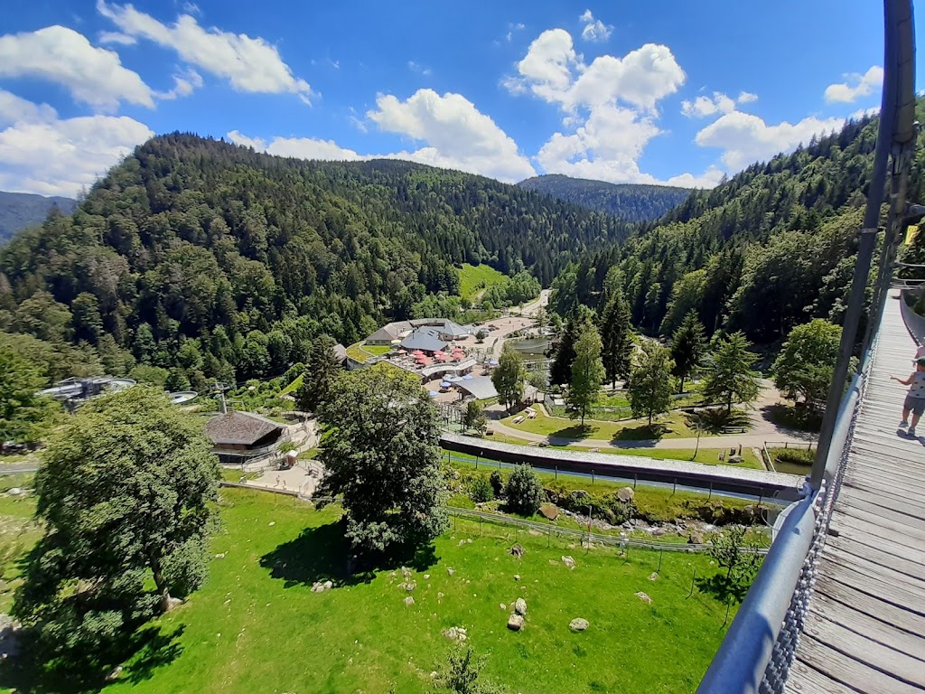 Steinwasen Park - Foto 1