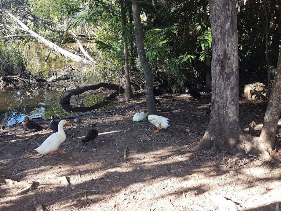 Kolora Park - Foto 9