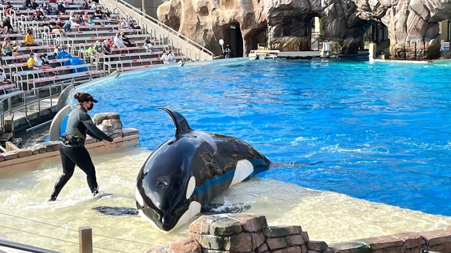 SeaWorld San Diego - Foto 5