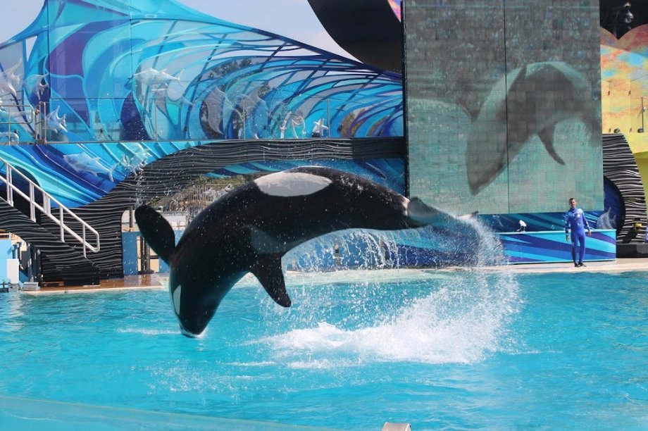 SeaWorld San Diego - Foto 7