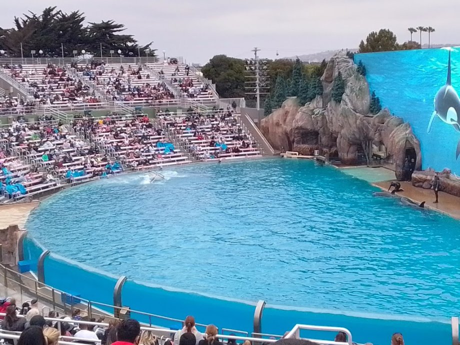 SeaWorld San Diego - Foto 8