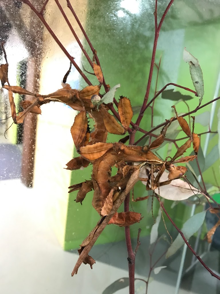 TwistED Science Moorabbin - Foto 1