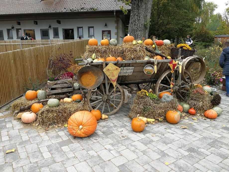 Erlebnispark Tripsdrill - Foto 7