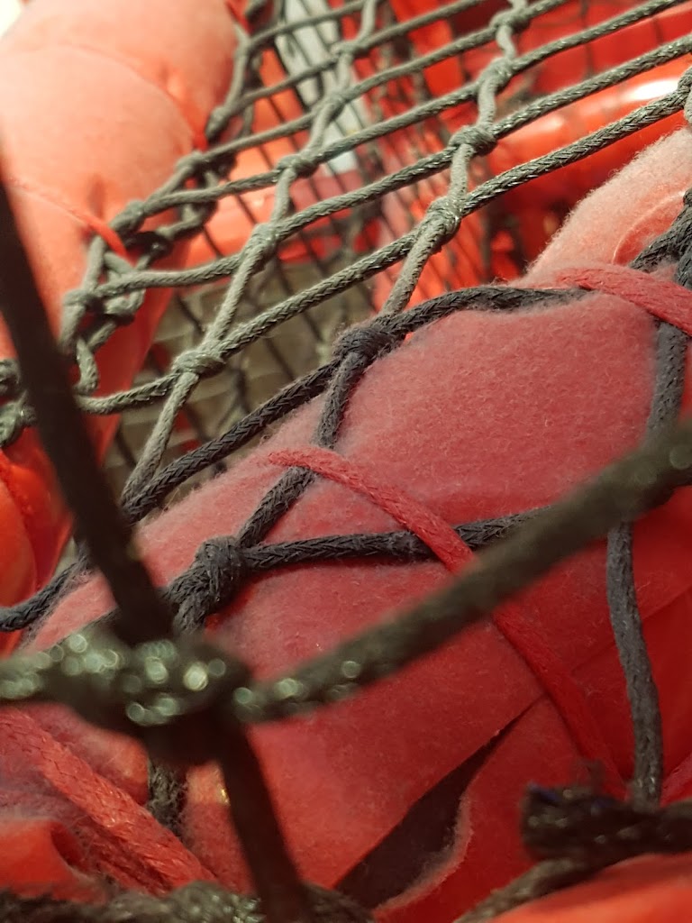 Cirq d-Play Kids Indoor Play Centre - Foto 1