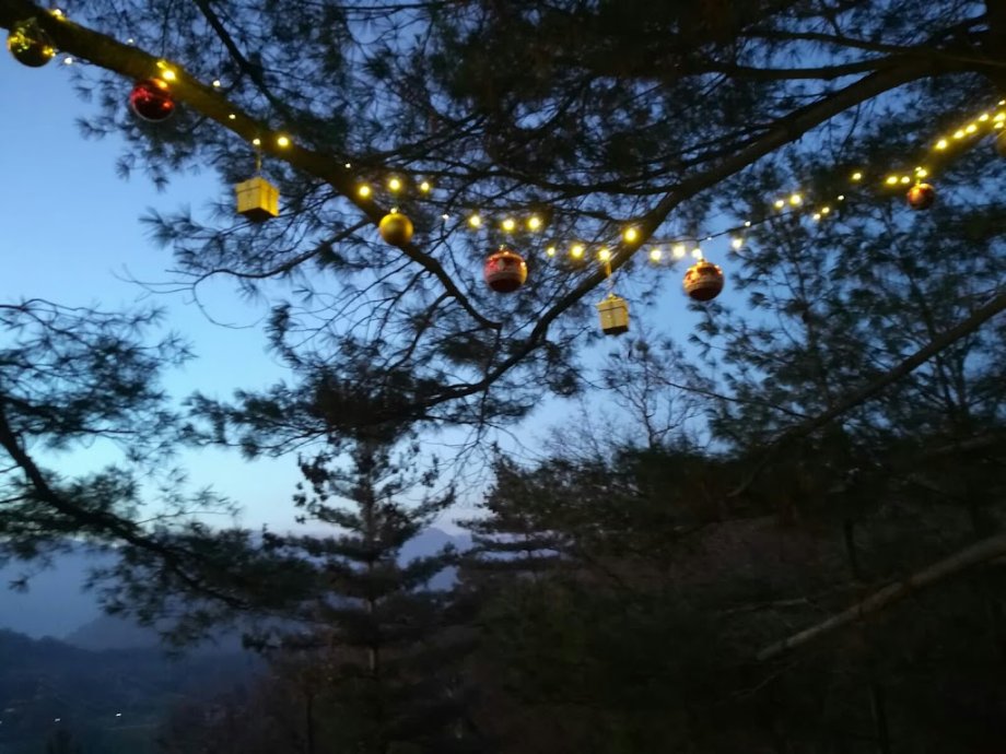 Adventure Park Lago d'Orta Le Pigne - Foto 6