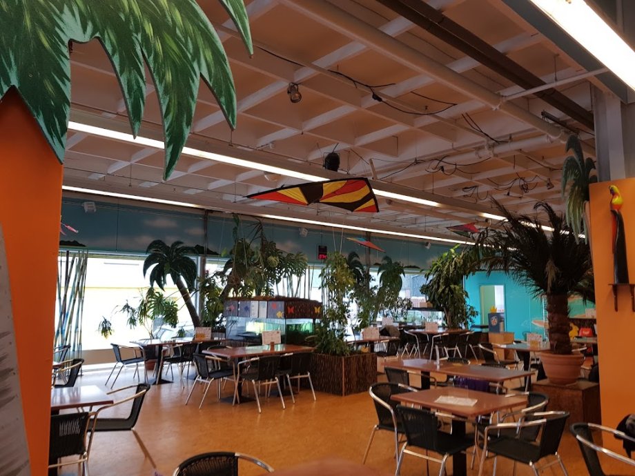 Tiki-Kinderland GmbH - Foto 10