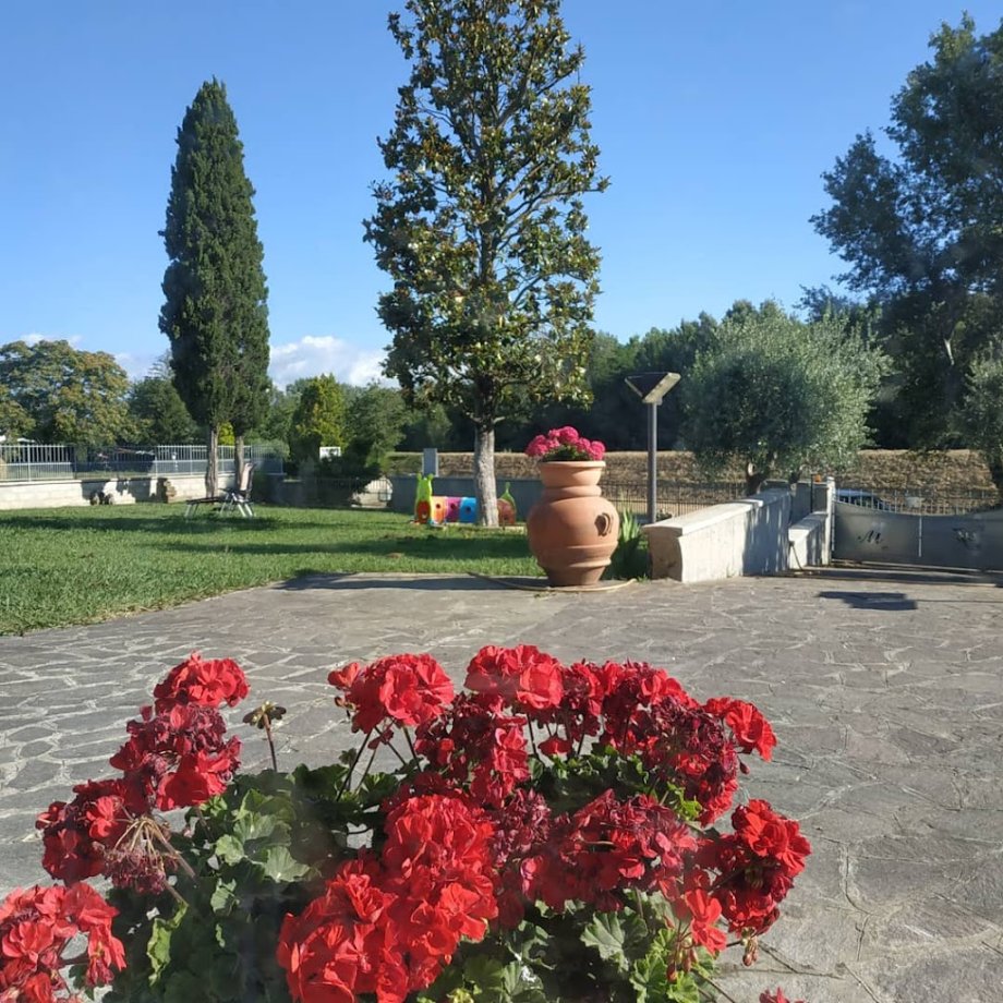 B&B Claudia e Chiara - Foto 5