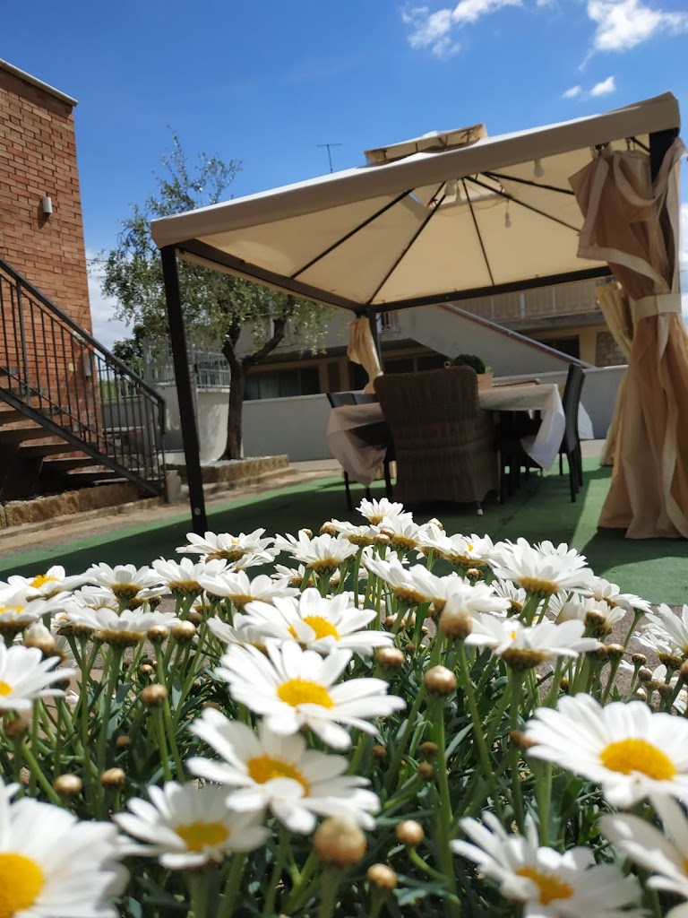 B&B Claudia e Chiara - Foto 6