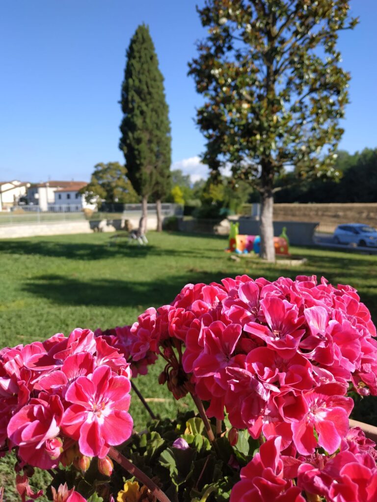 B&B Claudia e Chiara - Foto 10