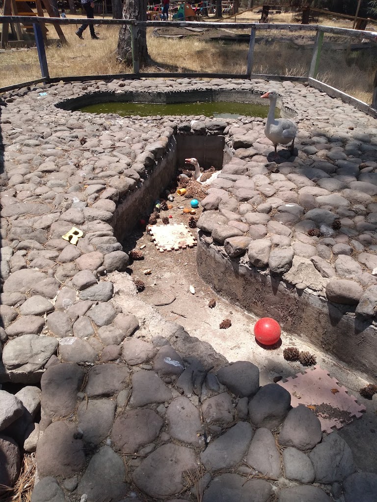 Rancho Adventure - Foto 7