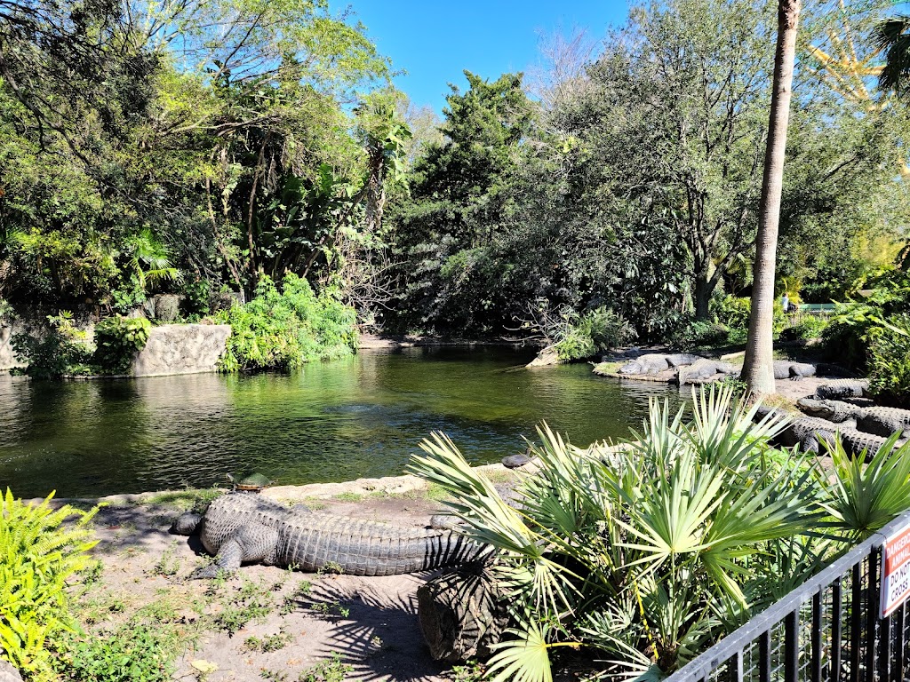 Busch Gardens Tampa Bay - Foto 1