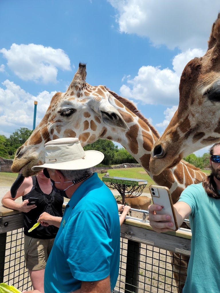 Busch Gardens Tampa Bay - Foto 1