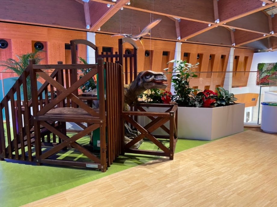 I Giglisauri - Foto 6