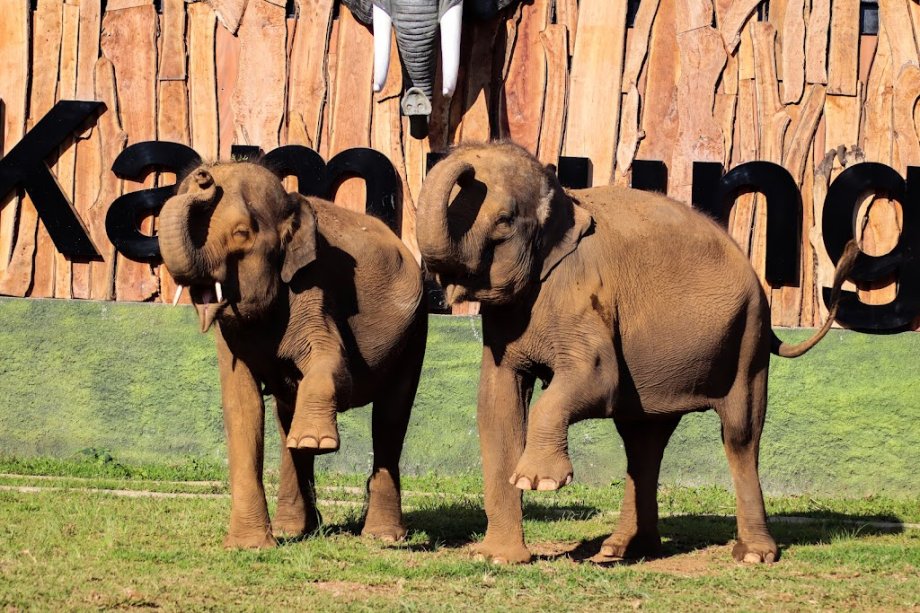 Lembang Park & Zoo - Foto 2