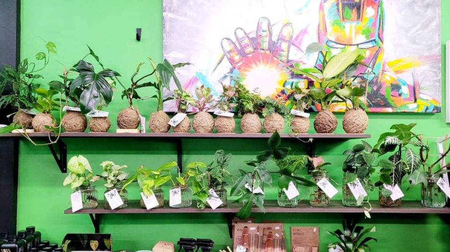 Foliage & Coffee Co - Foto 3