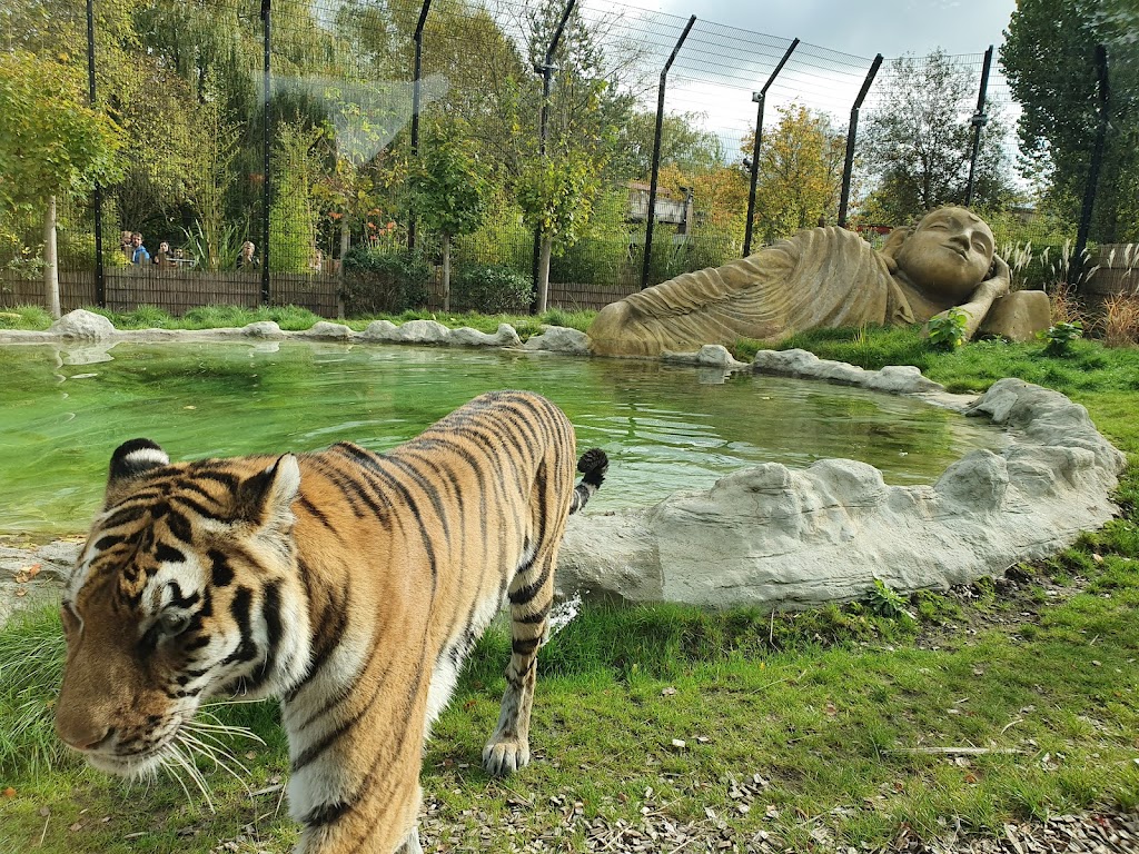 Chessington World of Adventures Resort - Foto 1