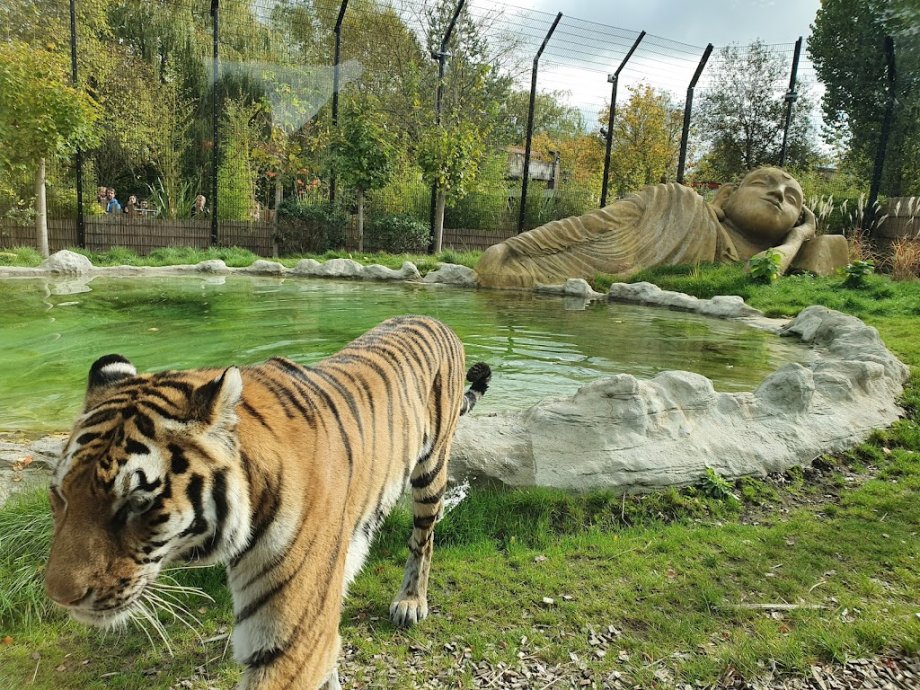 Chessington World of Adventures Resort - Foto 4