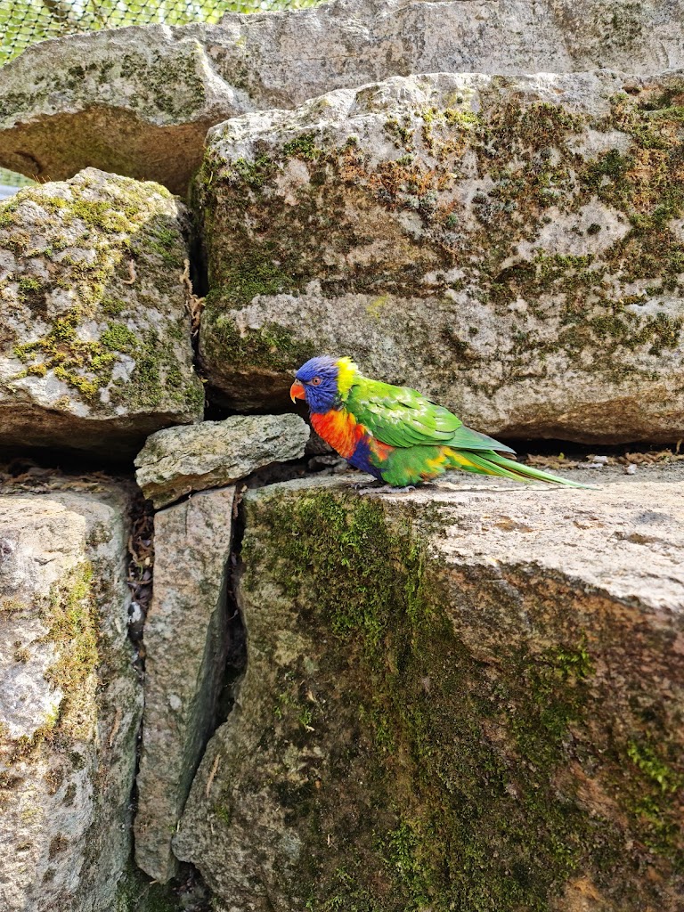 Chessington World of Adventures Resort - Foto 6