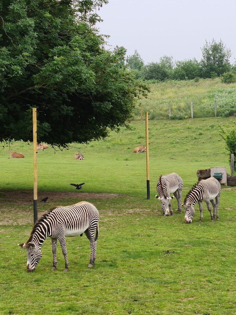 Chessington World of Adventures Resort - Foto 1