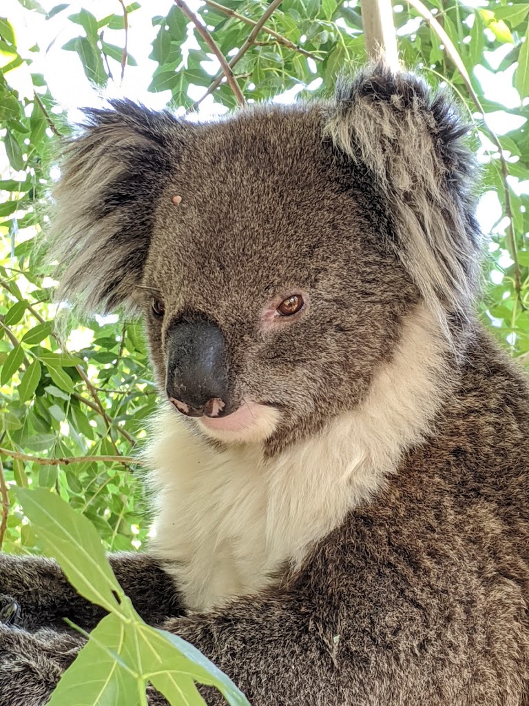 Tusmore Park - Foto 4