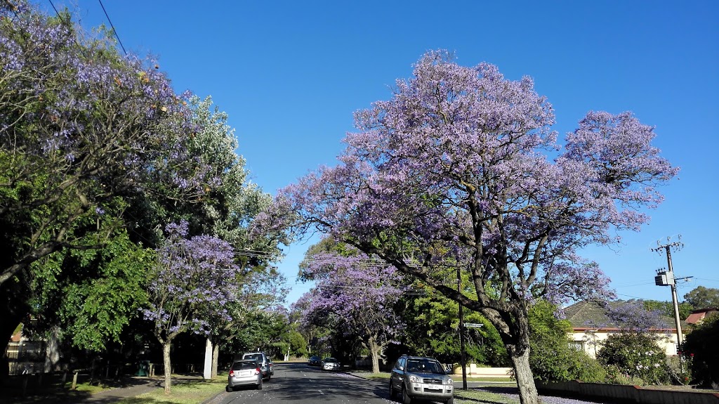 Tusmore Park - Foto 1