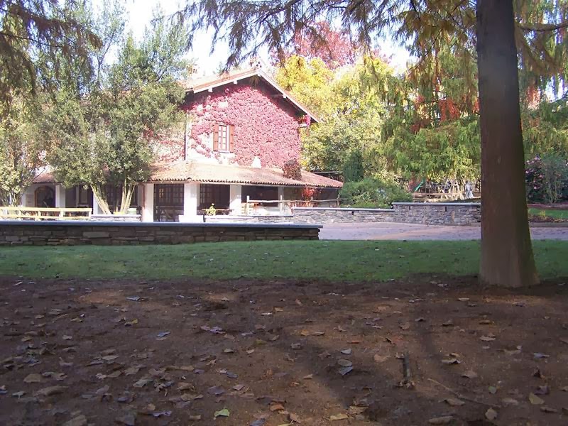 Fattoria Pasqué - Foto 5