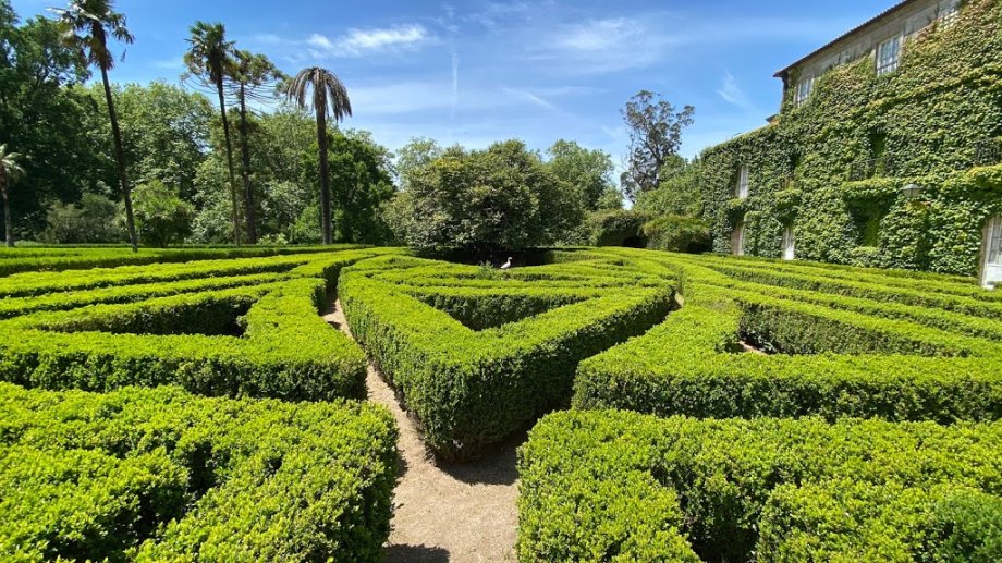 Parque de Castrelos - Foto 8