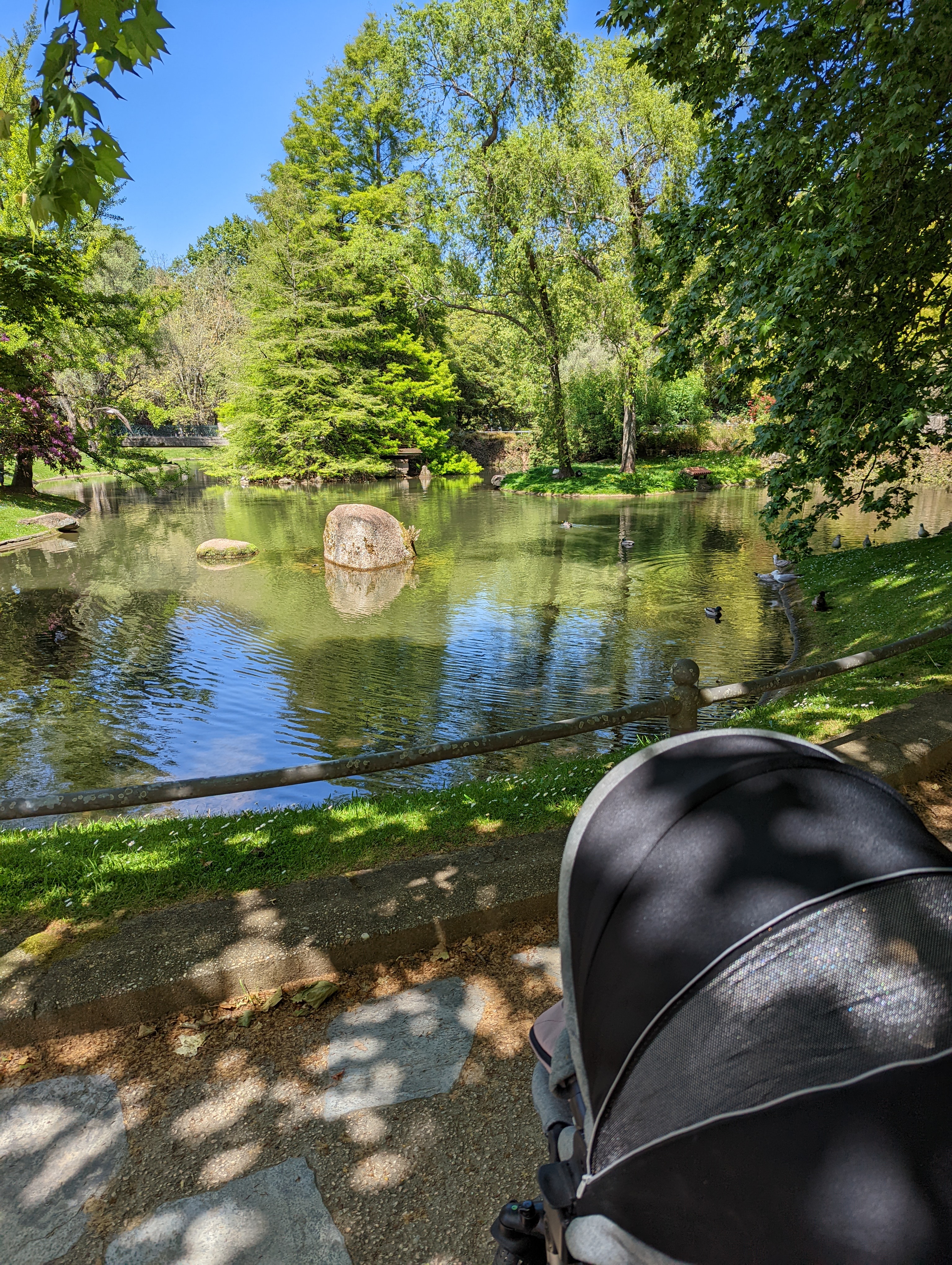 Parque de Castrelos - Foto 1