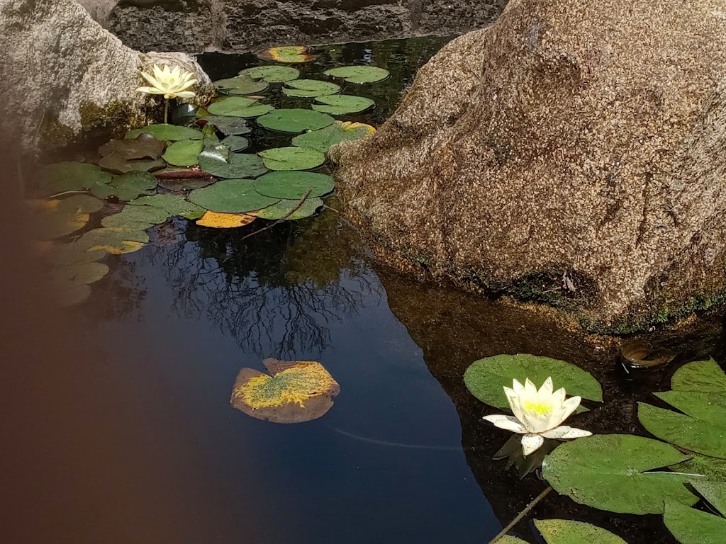 Parque Do Vicaño 10