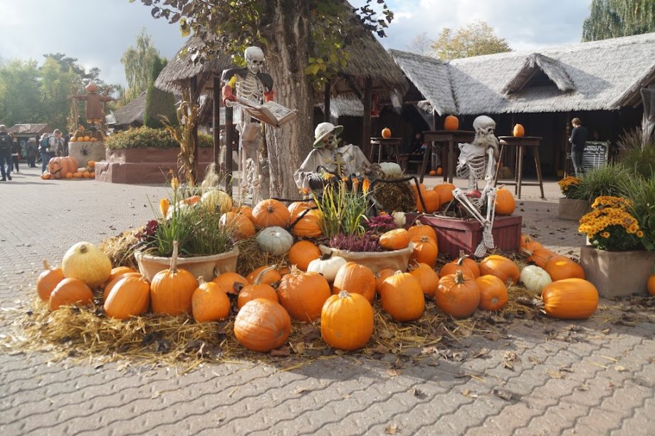 Djurs Sommerland - Foto 3